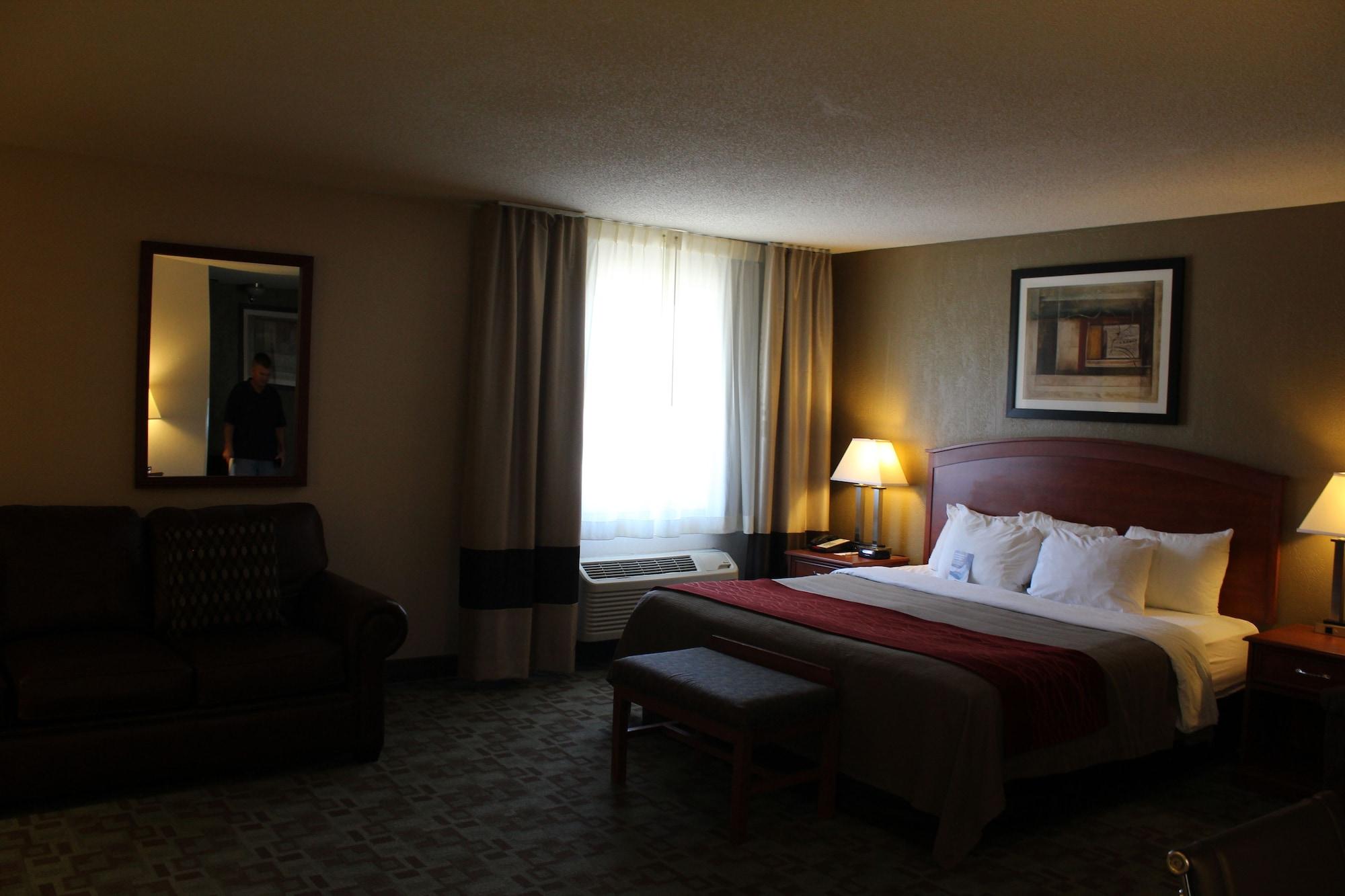 Comfort Inn Hastings Eksteriør billede